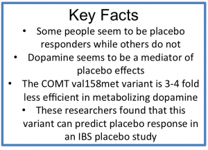 Placebo Gene key facts